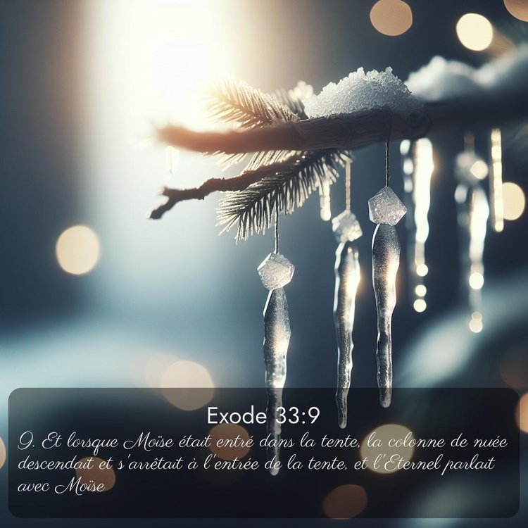 Segond Exode 33:9