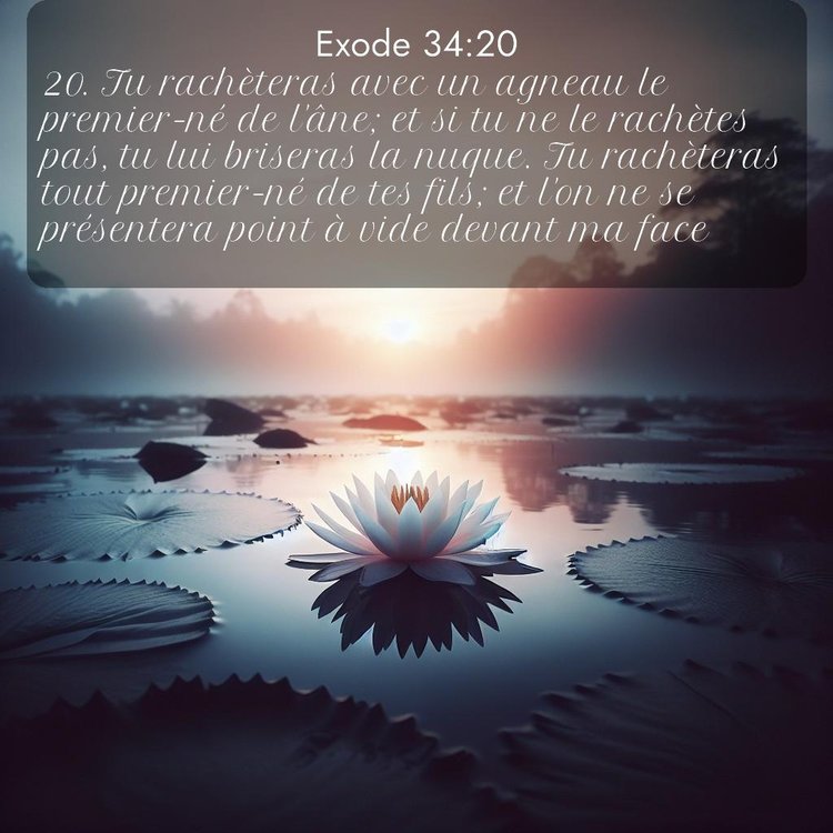 Segond Exode 34:20