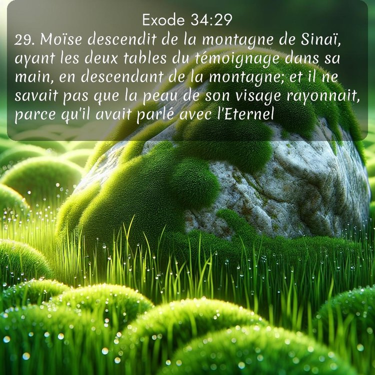 Segond Exode 34:29