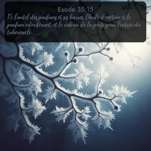 Segond Exode  ; image nature: image avec le verset biblique :l&#039;autel des parfums et ses barres, l&#039;huile d&#039;onction et le parfum odoriférant, et le rideau de la porte pour l&#039;entrée du tabernacle; ;  ; 35:15