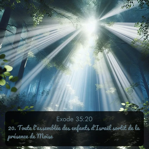 Segond Exode  ; image nature: image avec le verset biblique :Toute l&#039;assemblée des enfants d&#039;Israël sortit de la présence de Moïse. ;  ; 35:20