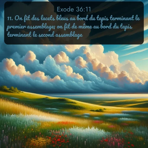 Segond Exode  ; image nature: image avec le verset biblique :On fit des lacets bleus au bord du tapis terminant le premier assemblage; on fit de même au bord du tapis terminant le second assemblage. ;  ; 36:11