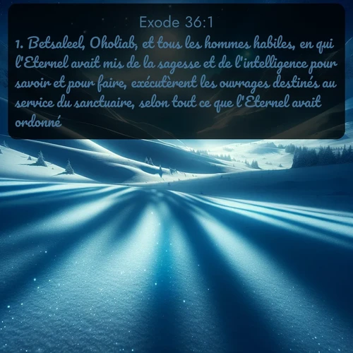 Segond Exode  ; image nature: image avec le verset biblique :Betsaleel, Oholiab, et tous les hommes habiles, en qui l&#039;Eternel avait mis de la sagesse et de l&#039;intelligence pour savoir et pour faire, exécutèrent les ouvrages destinés au service du sanctuaire, selon tout ce que l&#039;Eternel avait ordonné. ;  ; 36:1