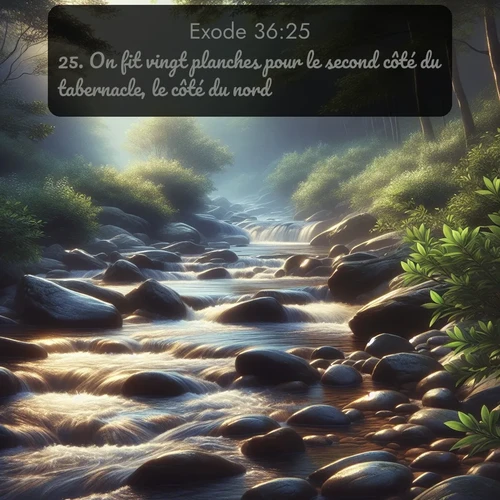 Segond Exode  ; image nature: image avec le verset biblique :On fit vingt planches pour le second côté du tabernacle, le côté du nord, ;  ; 36:25