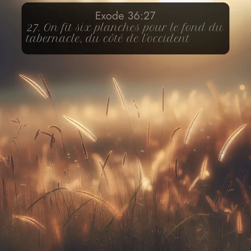 Segond Exode  ; image nature: image avec le verset biblique :On fit six planches pour le fond du tabernacle, du côté de l&#039;occident. ;  ; 36:27