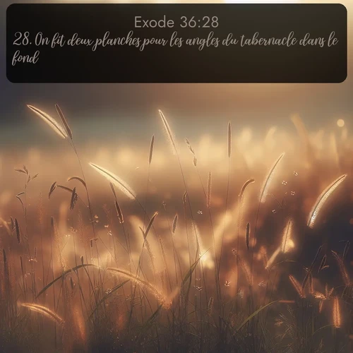 Segond Exode  ; image nature: image avec le verset biblique :On fit deux planches pour les angles du tabernacle dans le fond; ;  ; 36:28