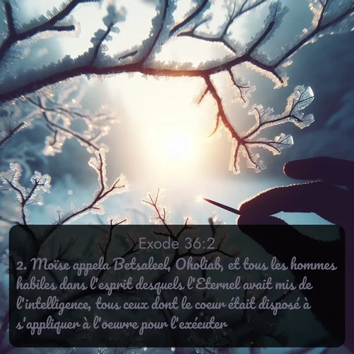 Segond Exode  ; image nature: image avec le verset biblique :Moïse appela Betsaleel, Oholiab, et tous les hommes habiles dans l&#039;esprit desquels l&#039;Eternel avait mis de l&#039;intelligence, tous ceux dont le coeur était disposé à s&#039;appliquer à l&#039;oeuvre pour l&#039;exécuter. ;  ; 36:2