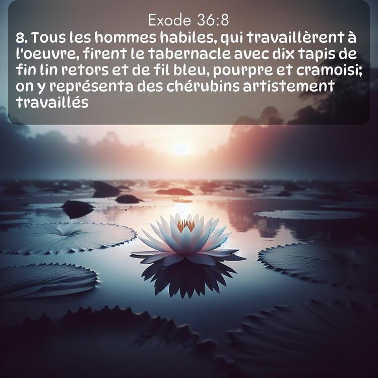 image nature avec verset biblique de la Bible