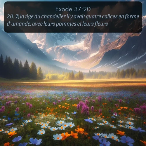 Segond Exode  ; image nature: image avec le verset biblique :A la tige du chandelier il y avait quatre calices en forme d&#039;amande, avec leurs pommes et leurs fleurs. ;  ; 37:20