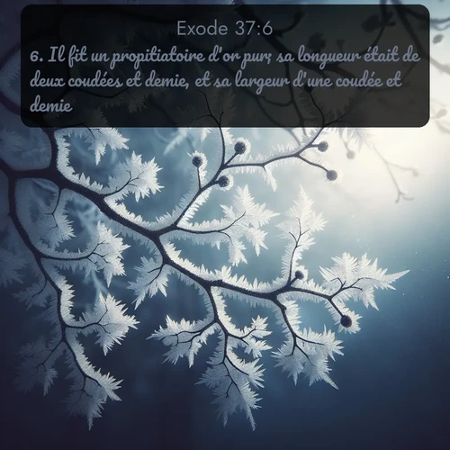 Segond Exode  ; image nature: image avec le verset biblique :Il fit un propitiatoire d&#039;or pur; sa longueur était de deux coudées et demie, et sa largeur d&#039;une coudée et demie. ;  ; 37:6
