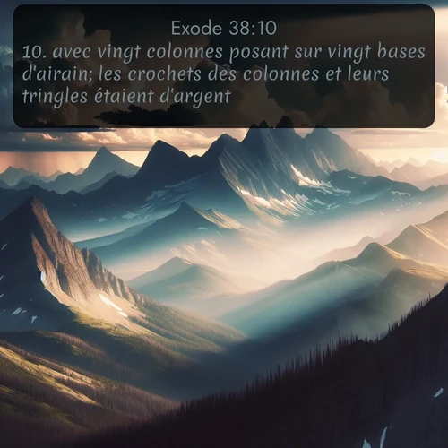 Segond Exode  ; image nature: image avec le verset biblique :avec vingt colonnes posant sur vingt bases d&#039;airain; les crochets des colonnes et leurs tringles étaient d&#039;argent. ;  ; 38:10