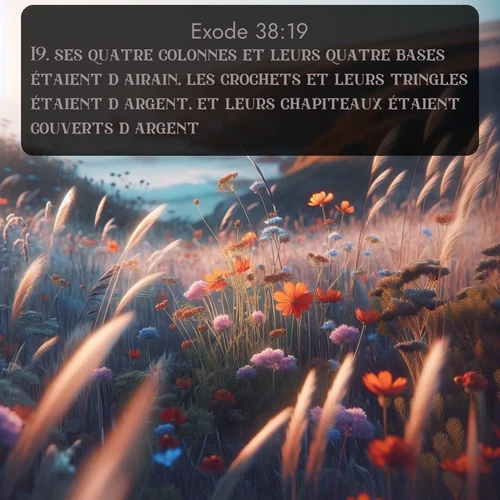 Segond Exode  ; image nature: image avec le verset biblique :ses quatre colonnes et leurs quatre bases étaient d&#039;airain, les crochets et leurs tringles étaient d&#039;argent, et leurs chapiteaux étaient couverts d&#039;argent. ;  ; 38:19