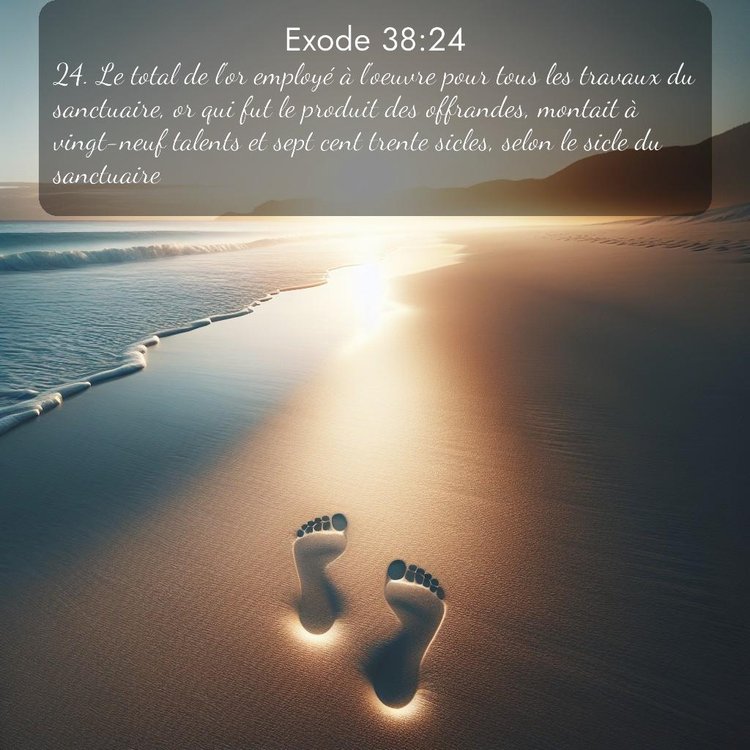 Segond Exode 38:24