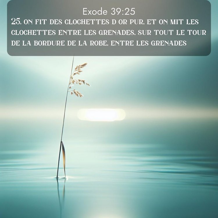 Segond Exode 39:25