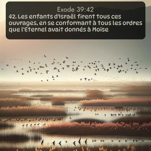 Segond Exode  ; image nature: image avec le verset biblique :Les enfants d&#039;Israël firent tous ces ouvrages, en se conformant à tous les ordres que l&#039;Eternel avait donnés à Moïse. ;  ; 39:42