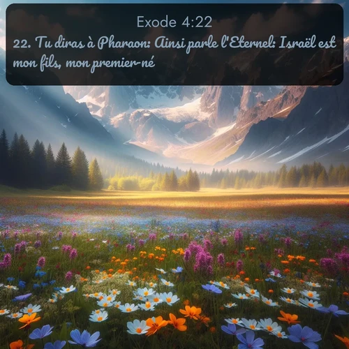 Segond Exode  ; image nature: image avec le verset biblique :Tu diras à Pharaon: Ainsi parle l&#039;Eternel: Israël est mon fils, mon premier-né. ;  ; 4:22