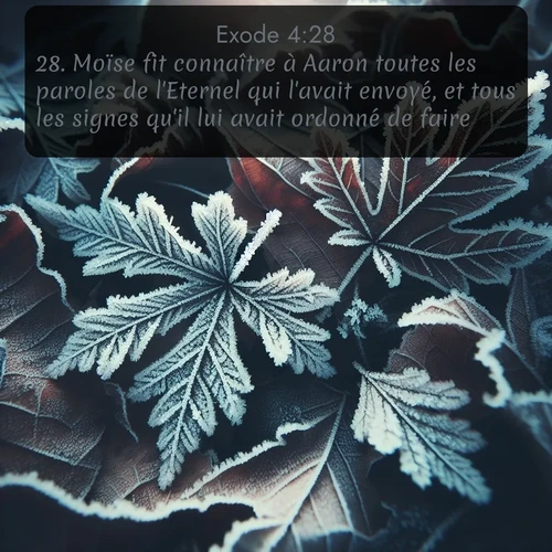 Segond Exode  ; image nature: image avec le verset biblique :Moïse fit connaître à Aaron toutes les paroles de l&#039;Eternel qui l&#039;avait envoyé, et tous les signes qu&#039;il lui avait ordonné de faire. ;  ; 4:28