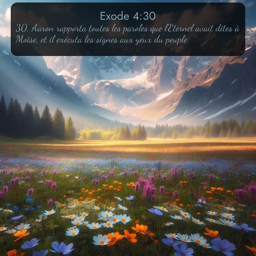 Segond Exode  ; image nature: image avec le verset biblique :Aaron rapporta toutes les paroles que l&#039;Eternel avait dites à Moïse, et il exécuta les signes aux yeux du peuple. ;  ; 4:30