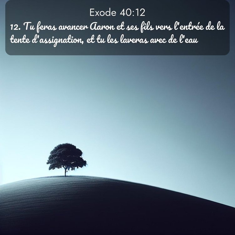 Segond Exode 40:12