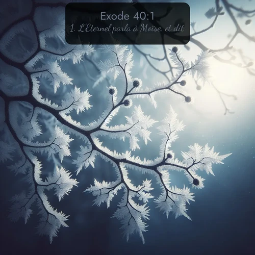 Segond Exode  ; image nature: image avec le verset biblique :L&#039;Eternel parla à Moïse, et dit: ;  ; 40:1