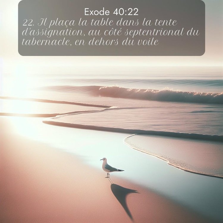 Segond Exode 40:22