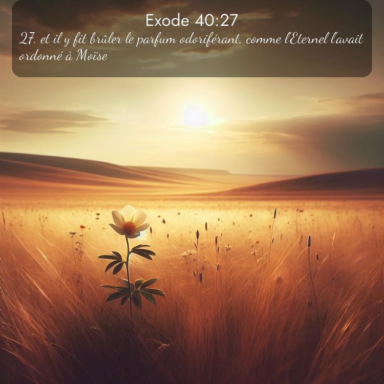 Segond Exode 40:27