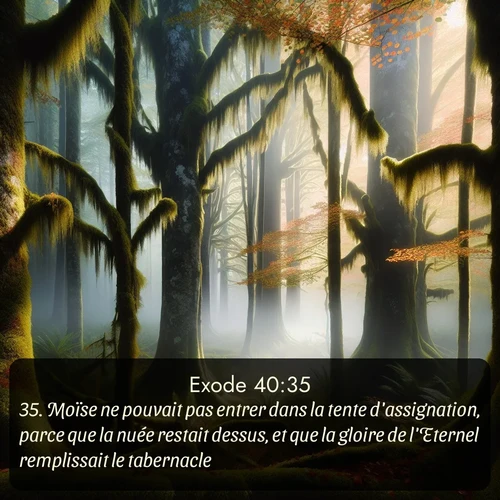 Segond Exode  ; image nature: image avec le verset biblique :Moïse ne pouvait pas entrer dans la tente d&#039;assignation, parce que la nuée restait dessus, et que la gloire de l&#039;Eternel remplissait le tabernacle. ;  ; 40:35