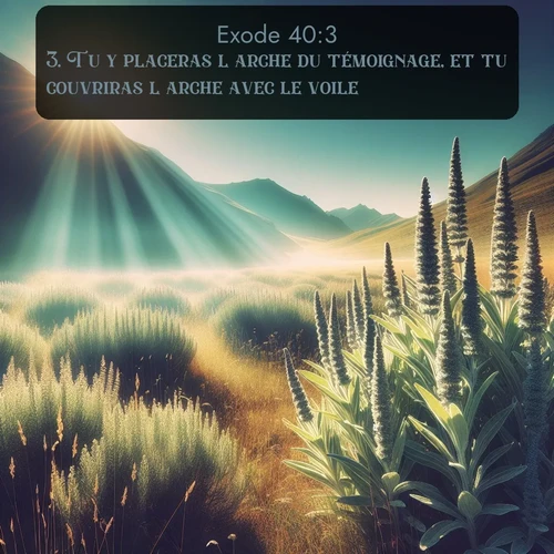 Segond Exode  ; image nature: image avec le verset biblique :Tu y placeras l&#039;arche du témoignage, et tu couvriras l&#039;arche avec le voile. ;  ; 40:3