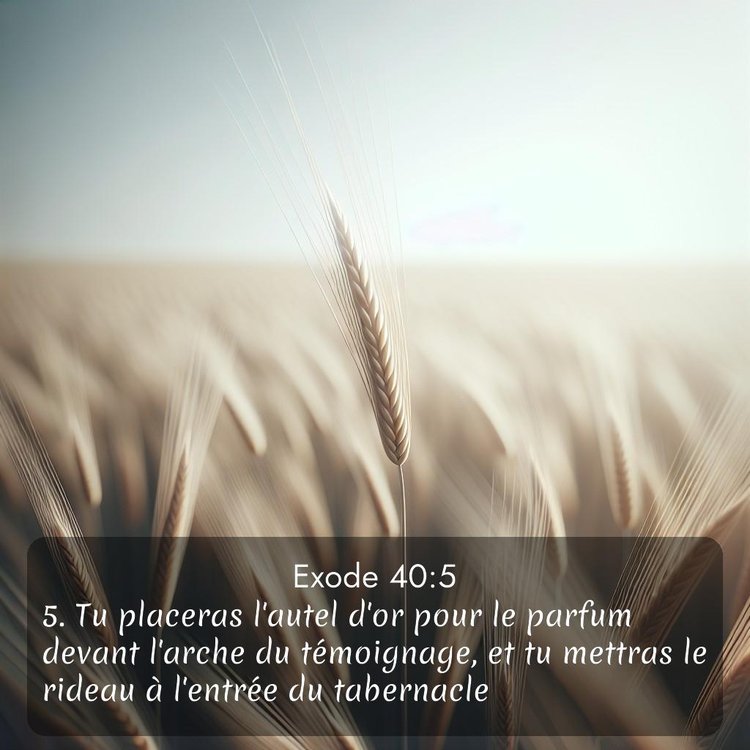 image nature avec verset biblique de la Bible