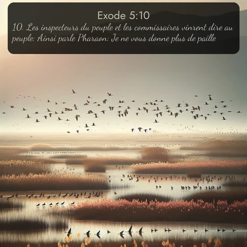 Segond Exode  ; image nature: image avec le verset biblique :Les inspecteurs du peuple et les commissaires vinrent dire au peuple: Ainsi parle Pharaon: Je ne vous donne plus de paille; ;  ; 5:10