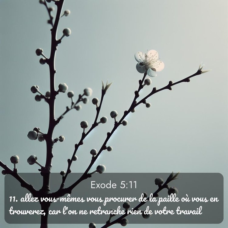image nature avec verset biblique de la Bible
