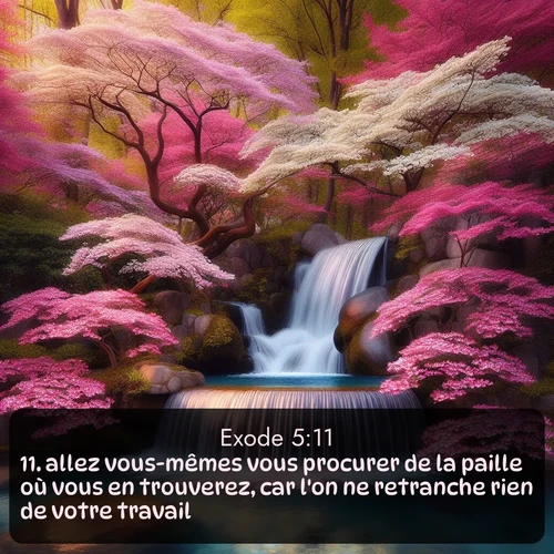 Segond Exode  ; image nature: image avec le verset biblique :allez vous-mêmes vous procurer de la paille où vous en trouverez, car l&#039;on ne retranche rien de votre travail. ;  ; 5:11