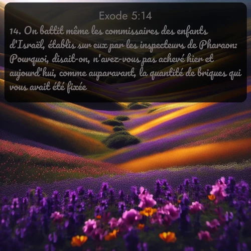 Segond Exode  ; image nature: image avec le verset biblique :On battit même les commissaires des enfants d&#039;Israël, établis sur eux par les inspecteurs de Pharaon: Pourquoi, disait-on, n&#039;avez-vous pas achevé hier et aujourd&#039;hui, comme auparavant, la quantité de briques qui vous avait été fixée? ;  ; 5:14