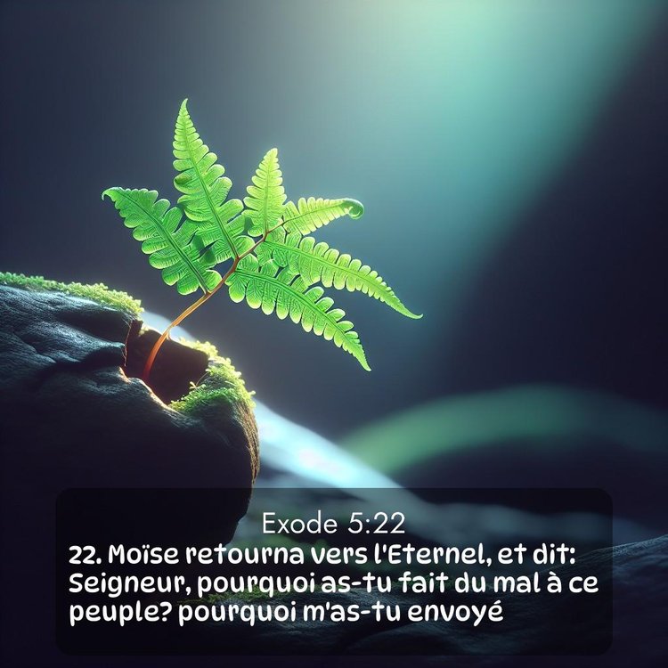 Segond Exode 5:22