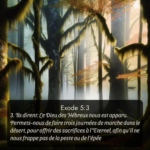 Segond Exode  ; image nature: image avec le verset biblique :Ils dirent: Le Dieu des Hébreux nous est apparu. Permets-nous de faire trois journées de marche dans le désert, pour offrir des sacrifices à l&#039;Eternel, afin qu&#039;il ne nous frappe pas de la peste ou de l&#039;épée. ;  ; 5:3