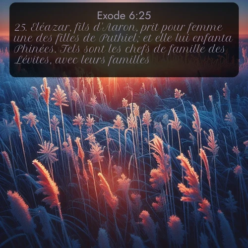 Segond Exode  ; image nature: image avec le verset biblique :Eléazar, fils d&#039;Aaron, prit pour femme une des filles de Puthiel; et elle lui enfanta Phinées. Tels sont les chefs de famille des Lévites, avec leurs familles. ;  ; 6:25