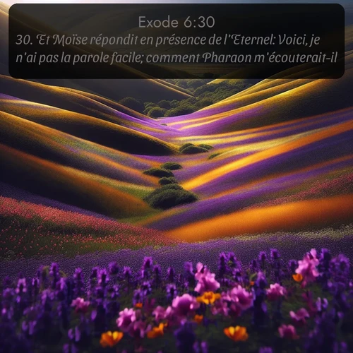 Segond Exode  ; image nature: image avec le verset biblique :Et Moïse répondit en présence de l&#039;Eternel: Voici, je n&#039;ai pas la parole facile; comment Pharaon m&#039;écouterait-il? ;  ; 6:30