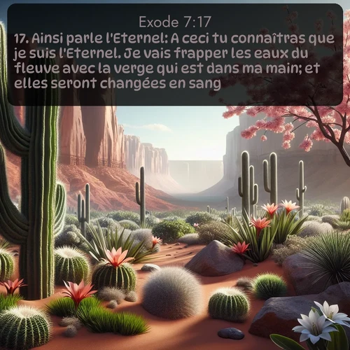Segond Exode  ; image nature: image avec le verset biblique :Ainsi parle l&#039;Eternel: A ceci tu connaîtras que je suis l&#039;Eternel. Je vais frapper les eaux du fleuve avec la verge qui est dans ma main; et elles seront changées en sang. ;  ; 7:17
