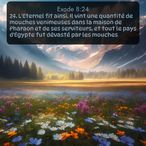 Segond Exode  ; image nature: image avec le verset biblique :L&#039;Eternel fit ainsi. Il vint une quantité de mouches venimeuses dans la maison de Pharaon et de ses serviteurs, et tout le pays d&#039;Egypte fut dévasté par les mouches. ;  ; 8:24