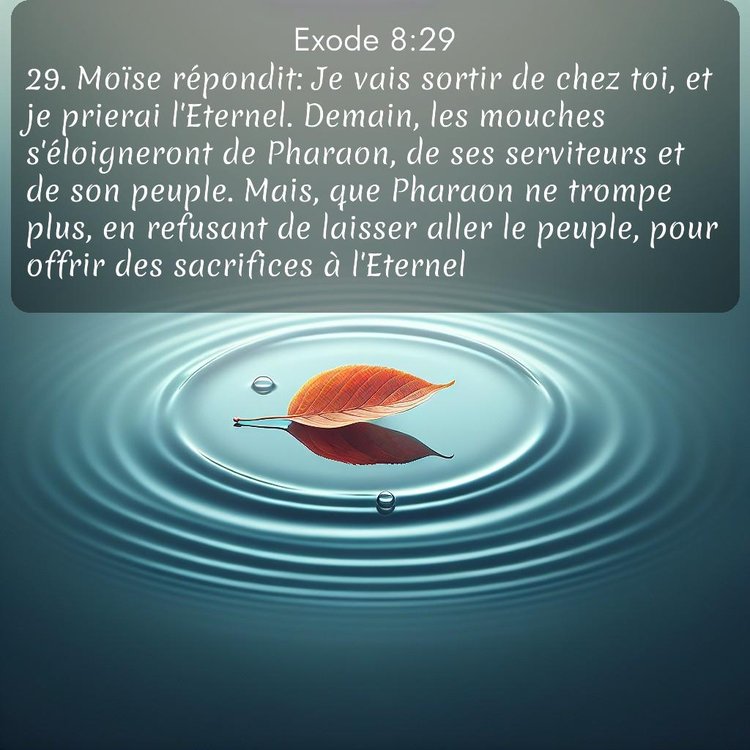 image nature avec verset biblique de la Bible