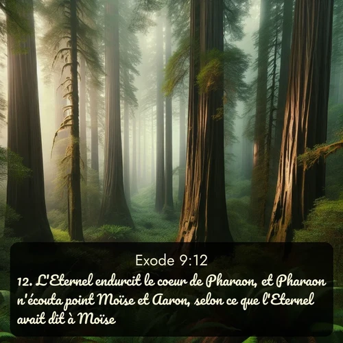 Segond Exode  ; image nature: image avec le verset biblique :L&#039;Eternel endurcit le coeur de Pharaon, et Pharaon n&#039;écouta point Moïse et Aaron, selon ce que l&#039;Eternel avait dit à Moïse. ;  ; 9:12