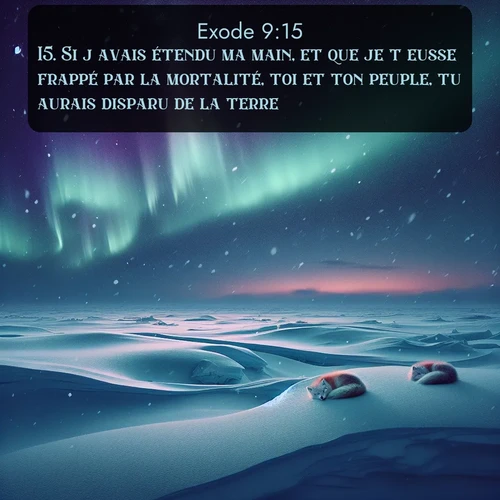 Segond Exode  ; image nature: image avec le verset biblique :Si j&#039;avais étendu ma main, et que je t&#039;eusse frappé par la mortalité, toi et ton peuple, tu aurais disparu de la terre. ;  ; 9:15