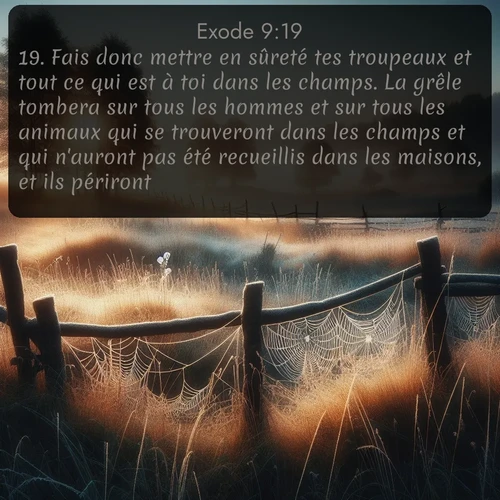 Segond Exode  ; image nature: image avec le verset biblique :Fais donc mettre en sûreté tes troupeaux et tout ce qui est à toi dans les champs. La grêle tombera sur tous les hommes et sur tous les animaux qui se trouveront dans les champs et qui n&#039;auront pas été recueillis dans les maisons, et ils périront. ;  ; 9:19