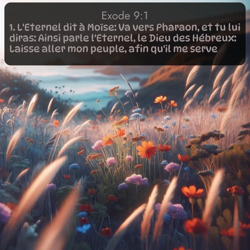 Segond Exode  ; image nature: image avec le verset biblique :L&#039;Eternel dit à Moïse: Va vers Pharaon, et tu lui diras: Ainsi parle l&#039;Eternel, le Dieu des Hébreux: Laisse aller mon peuple, afin qu&#039;il me serve. ;  ; 9:1