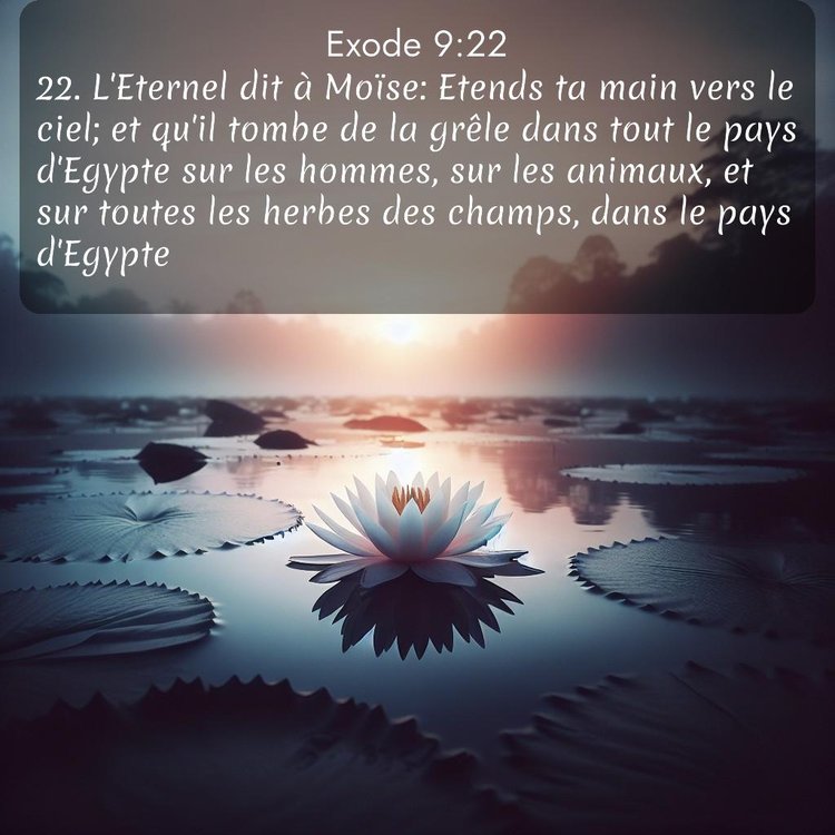 Segond Exode 9:22