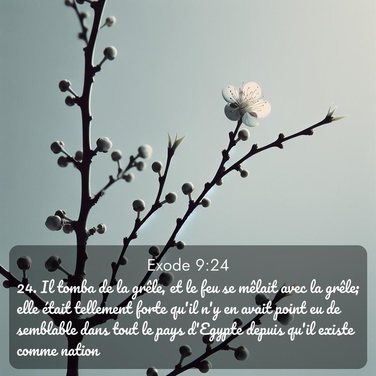 image nature avec verset biblique de la Bible