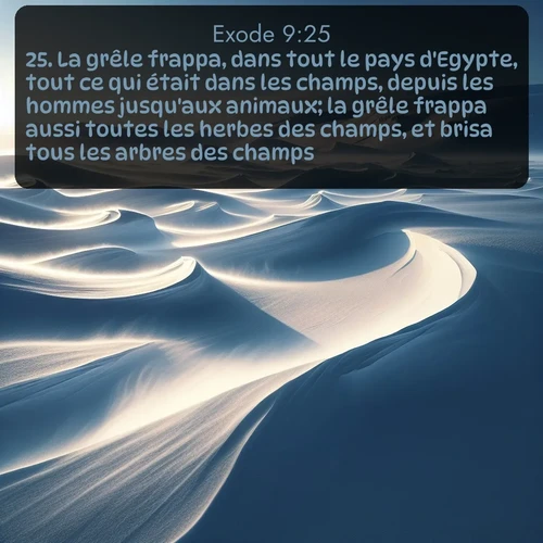 Segond Exode  ; image nature: image avec le verset biblique :La grêle frappa, dans tout le pays d&#039;Egypte, tout ce qui était dans les champs, depuis les hommes jusqu&#039;aux animaux; la grêle frappa aussi toutes les herbes des champs, et brisa tous les arbres des champs. ;  ; 9:25