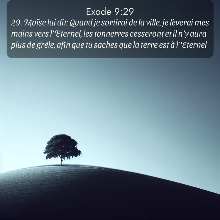 Segond Exode 9:29