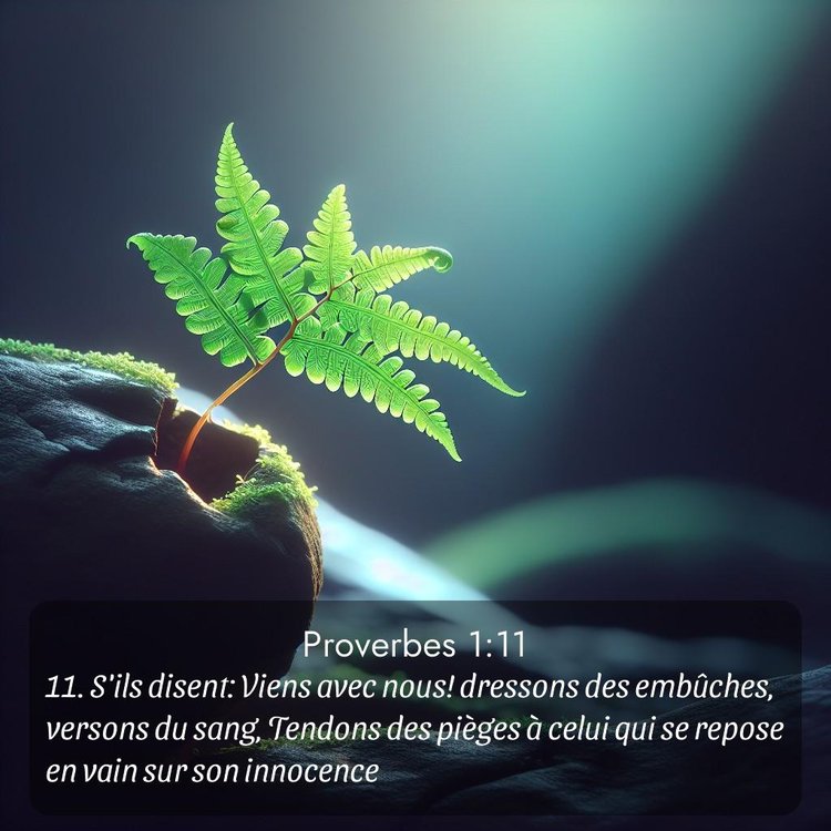 Segond Proverbes 1:11