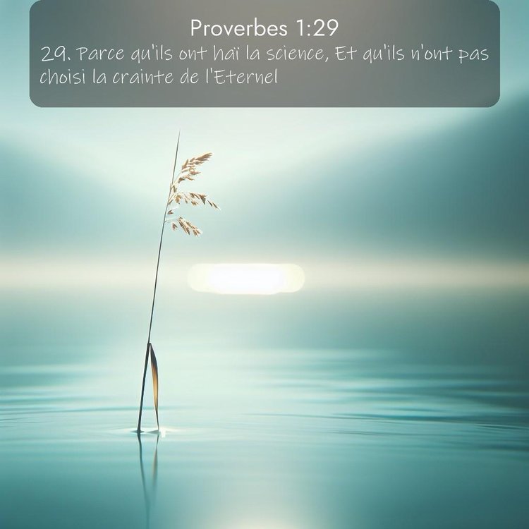 Segond Proverbes 1:29